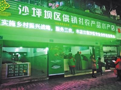 打通農產品流通最后一公里——沙區供銷社農產品水產、花卉店正式開業