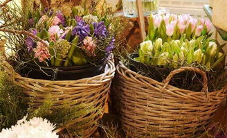 從街頭到世界 93年女孩的另類賣花路，年入400萬，生意遍及40國