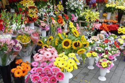 2018-2019年適合創業的20個好項目推薦 禮品花卉銷售引領潮流，年青人抓住機遇！